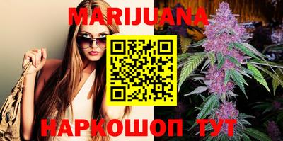 индика Нальчик