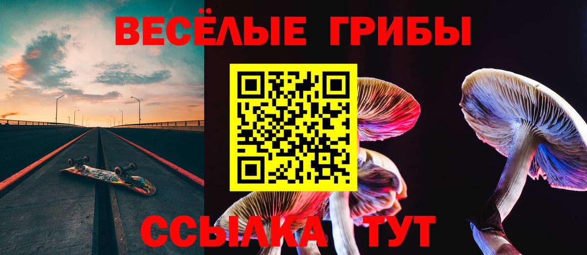 Галлюциногенные грибы Cubensis Рыбинск